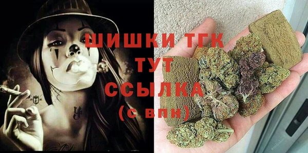 хмурый Осинники