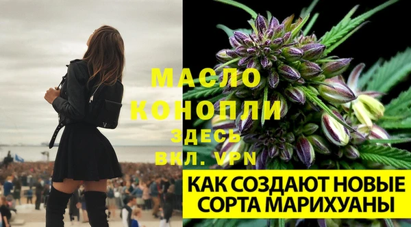 мет Осташков