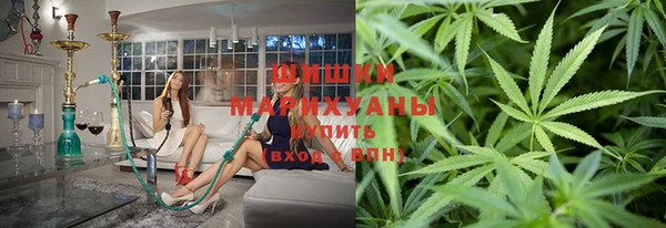 хмурый Осинники
